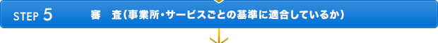 STEP5　審　査（事業所・サービスごとの基準に適合しているか）